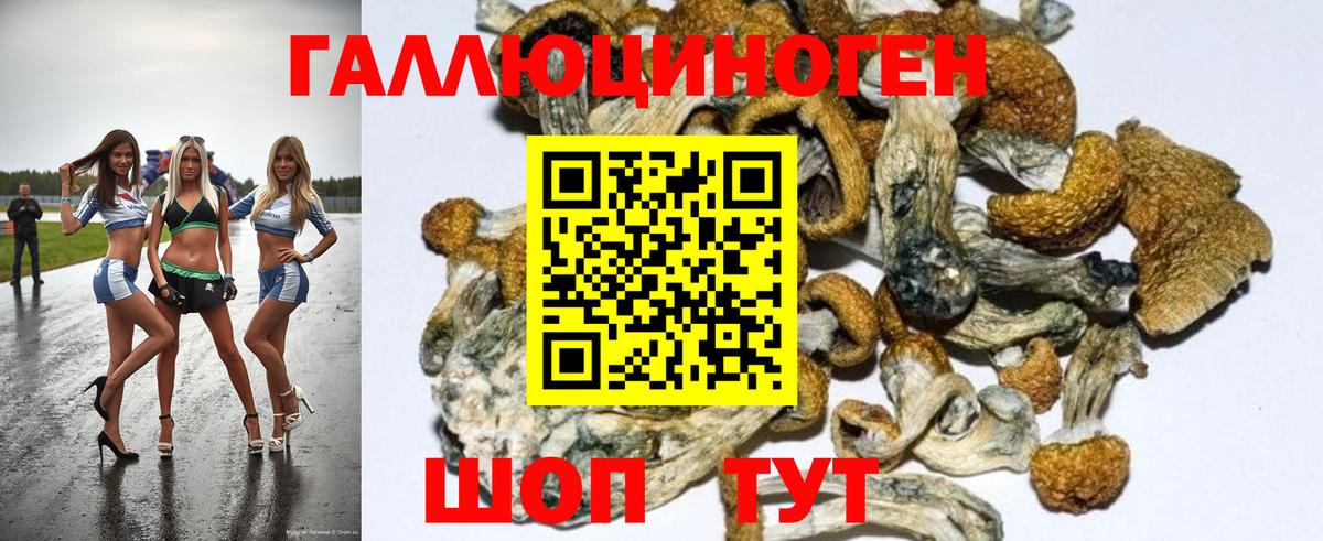 Кизляр  Галлюциногенные грибы GOLDEN TEACHER  Вход с VPN 